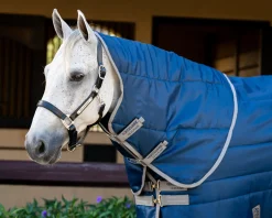 HORSEWARE Stable Blankets|® Ireland Amigo® Ripstop Insulator Stable Plus Blanket- 550G