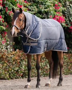 HORSEWARE Stable Blankets|® Ireland Amigo® Ripstop Insulator Stable Pony Plus Blanket - 200G