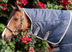 HORSEWARE Stable Blankets|® Ireland Amigo® Ripstop Insulator Stable Pony Plus Blanket - 200G