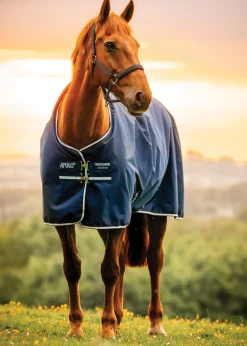 HORSEWARE Turnout Blankets|® Ireland Amigo® Ripstop 900D 200 Gram Standard Neck Pony Turnout–Seasonal Color