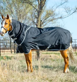 HORSEWARE Turnout Blankets|® Ireland Amigo® Stock Horse Plus 200g