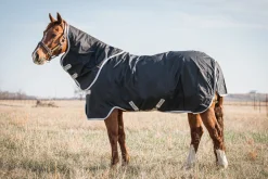HORSEWARE Turnout Blankets|Ireland® Amigo® Stock Horse Plus Turnout Light