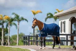 HORSEWARE Stable Sheets|® Ireland Amigo® Stable Sheet–Core Color