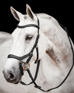 HORSEWARE English Bridles|® Ireland Micklem2 Competition Bridle with Reins