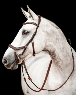 HORSEWARE English Bridles|® Ireland Micklem2 Competition Bridle with Reins