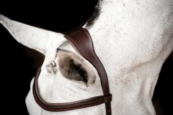 HORSEWARE English Bridles|® Ireland Micklem2 Competition Bridle with Reins