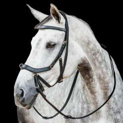 HORSEWARE English Bridles|® Ireland Micklem2 Multibridle USA with Reins