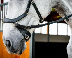 HORSEWARE English Bridles|® Ireland Micklem2 Multibridle USA with Reins