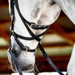 HORSEWARE English Bridles|® Ireland Micklem2 Multibridle USA with Reins