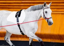 HORSEWARE English Bridles|® Ireland Micklem2 Multibridle USA with Reins