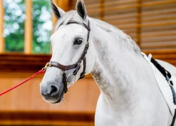 HORSEWARE English Bridles|® Ireland Micklem2 Multibridle USA with Reins