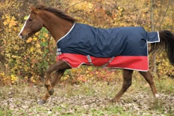 HORSEWARE Turnout Sheets|® Ireland Mio® Lite Turnout Sheet