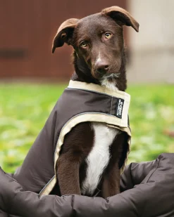 HORSEWARE Dog Blankets|® Ireland Rambo® Waterproof Dog Blanket