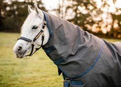 HORSEWARE Turnout Blankets|® Ireland Rhino® Plus HexStop Vari-Layer® 250 Gram Medium-Weight Turnout Blanket