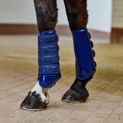 EQUINAVIA Horse Boots|Horze Brushing Boots with Glitter