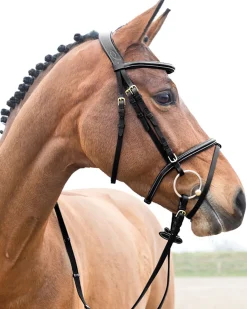 EQUINAVIA English Bridles|Horze Constance Padded Flash Snaffle Bridle