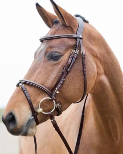 EQUINAVIA English Bridles|Horze Constance Padded Flash Snaffle Bridle