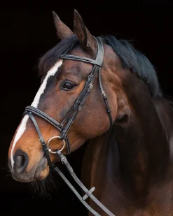 EQUINAVIA English Bridles|Horze Constance Padded Flash Snaffle Bridle