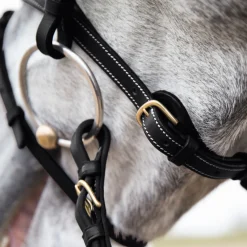 EQUINAVIA English Bridles|Horze Constance Padded Flash Snaffle Bridle