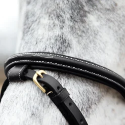 EQUINAVIA English Bridles|Horze Constance Padded Flash Snaffle Bridle