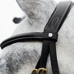 EQUINAVIA English Bridles|Horze Constance Padded Flash Snaffle Bridle