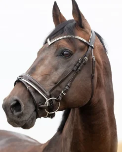 EQUINAVIA English Bridles|Horze Grayson Snaffle Bridle