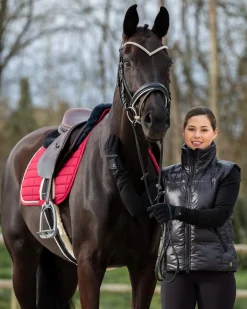 EQUINAVIA English Bridles|Horze Grayson Snaffle Bridle