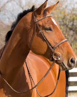 EQUINAVIA English Bridles|Horze Harrison Bridle