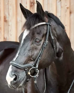 EQUINAVIA English Bridles|Horze Highbury Anatomical Crystal Dressage Bridle