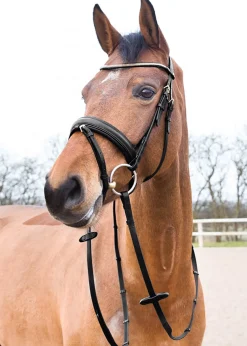 EQUINAVIA English Bridles|Horze Lester Snaffle Bridle