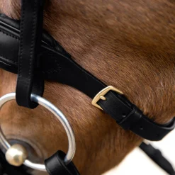 EQUINAVIA English Bridles|Horze Lester Snaffle Bridle