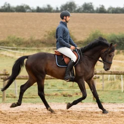 EQUINAVIA Men's Breeches|Horze Men’s Grand Prix Full-Seat Breech with Silicone Grip