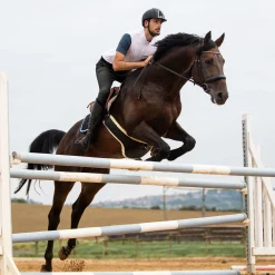 EQUINAVIA Men's Breeches|Horze Men’s Grand Prix Full-Seat Breech with Silicone Grip