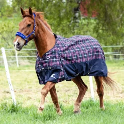 EQUINAVIA Turnout Sheets|Horze Nevada 1200D Lightweight Turnout Sheet