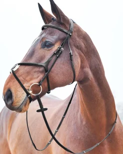 EQUINAVIA English Bridles|Horze Prescott Figure-8 Bridle
