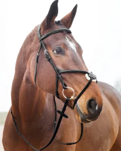 EQUINAVIA English Bridles|Horze Prescott Figure-8 Bridle