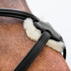 EQUINAVIA English Bridles|Horze Prescott Figure-8 Bridle