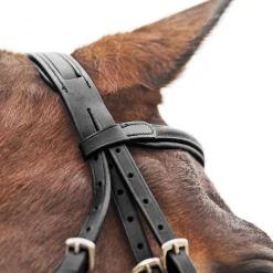 EQUINAVIA English Bridles|Horze Prescott Figure-8 Bridle