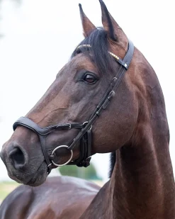 EQUINAVIA English Bridles|Horze Stewart Bridle
