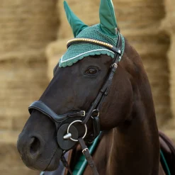 EQUINAVIA English Bridles|Horze Stewart Bridle