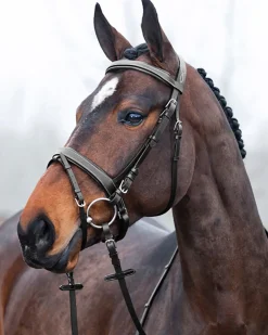 EQUINAVIA English Bridles|Horze Venice Snaffle Bridle