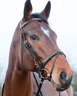 EQUINAVIA English Bridles|Horze Venice Snaffle Bridle