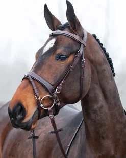 EQUINAVIA English Bridles|Horze Venice Snaffle Bridle
