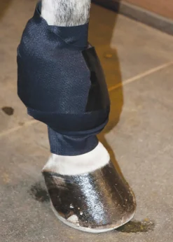 MACKINNON Therapy|Hoof & Hock Boots|Ice Horse® All-Purpose Wrap