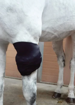 MACKINNON Therapy|Hoof & Hock Boots|Ice Horse® All-Purpose Wrap