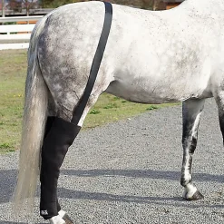 MACKINNON Therapy|Ice Horse® Full Hind Leg Wrap Pair with Suspender Strap