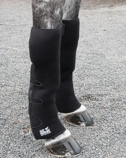MACKINNON Therapy|Ice Horse® Full Hind Leg Wrap Pair with Suspender Strap