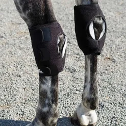 MACKINNON Therapy|Hoof & Hock Boots|Ice Horse® Hock Wrap