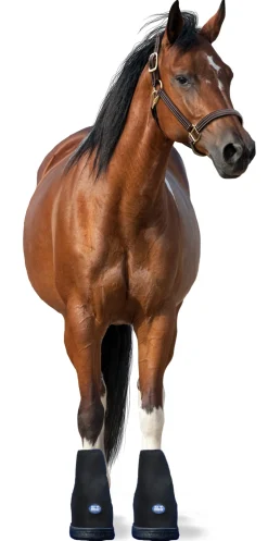 MACKINNON Therapy|Hoof & Hock Boots|Ice Horse® Hoof Boot - Pair