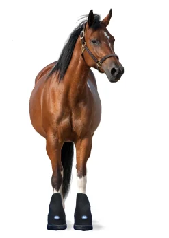 MACKINNON Therapy|Ice Horse® Large Laminitis Pro Boot